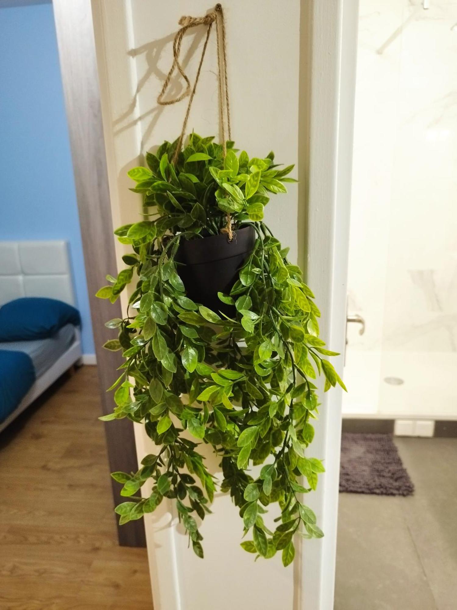 아르장퇴유 Parisian Cosy Flat With Balcony 아파트 외부 사진